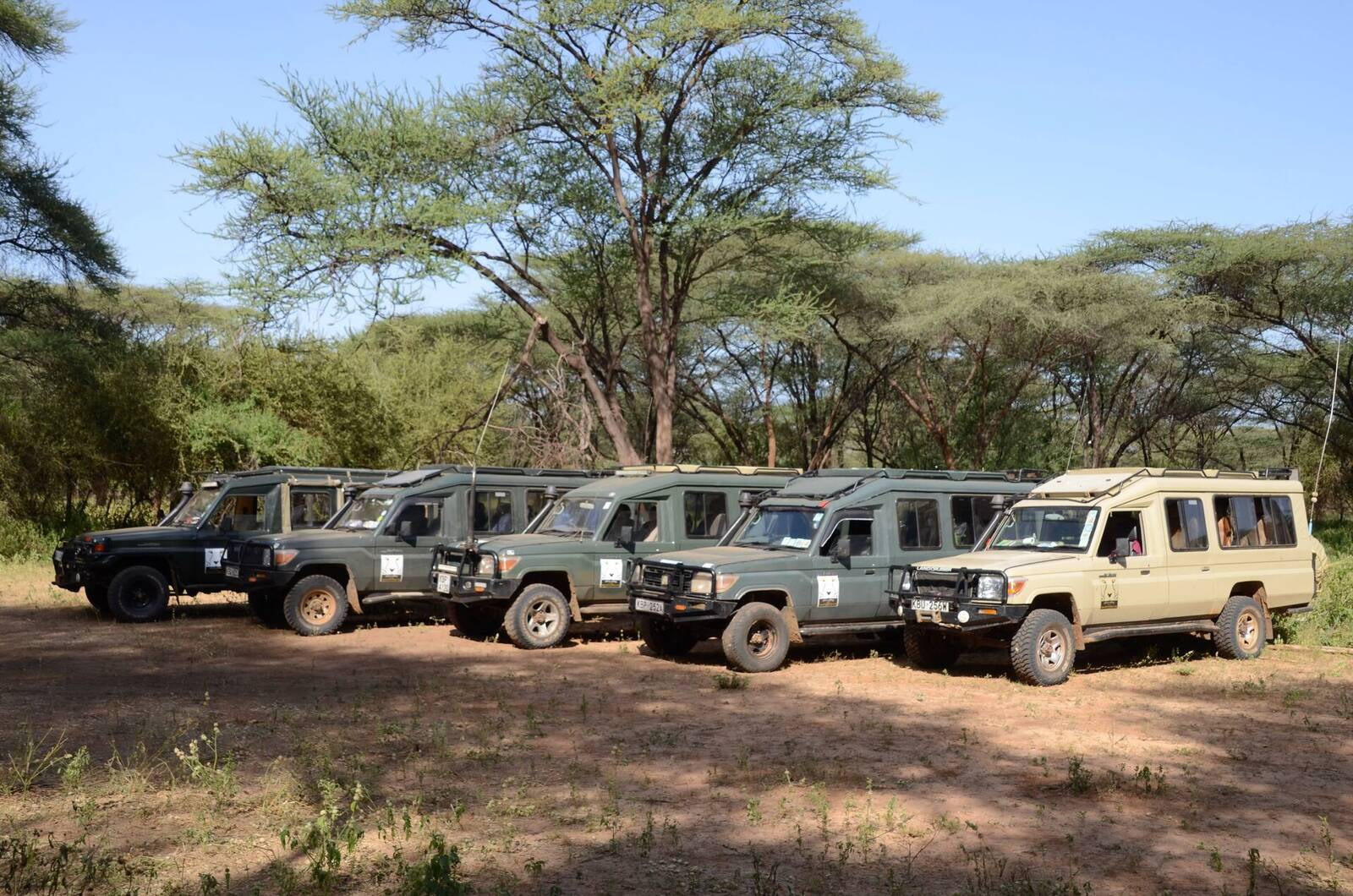 Africa Calling Safaris vehicles ready for a game drive