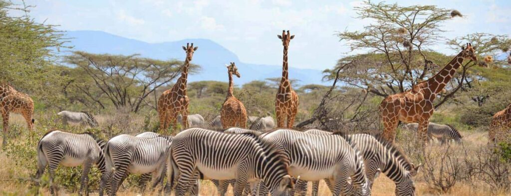 Samburu-National-Park-1170×450