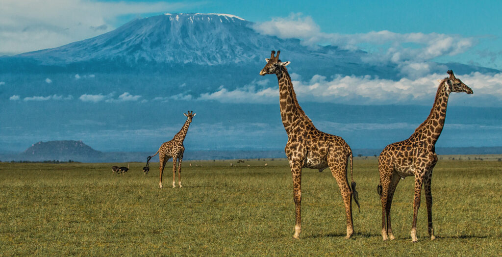 Amboseli-National-Park-2